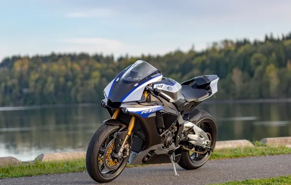 MT-03